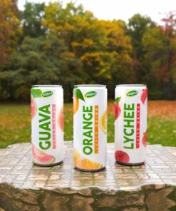 FRUIT JUICE DRINKS
