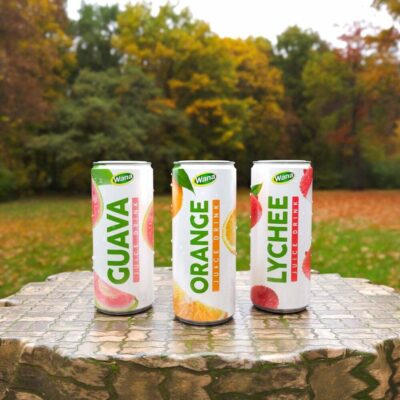 FRUIT JUICE DRINKS