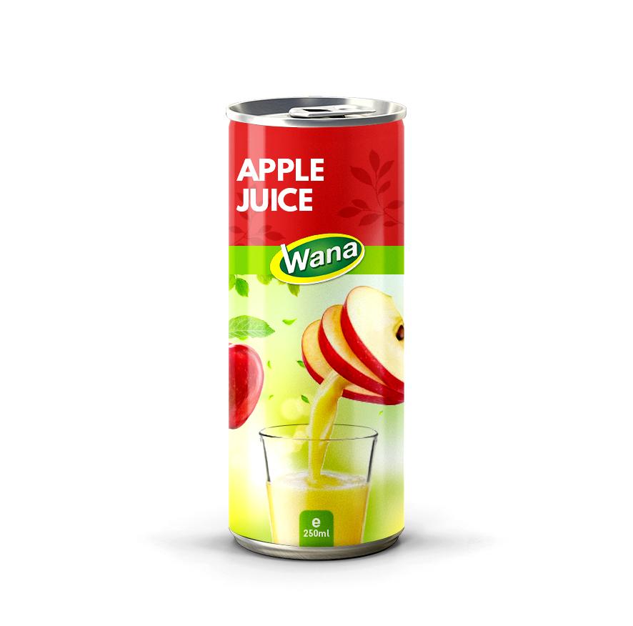 100% Watermelon Juice Drink 250ml Canned - Image 2