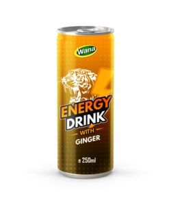 Boost Your Day - Ginger Flavored Energy Drink 250ml Canned
