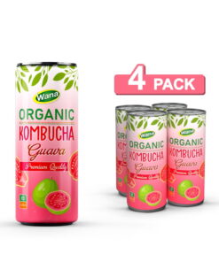 Alternative view of Pineapple w Kombucha Tea Drink in 320ml Canned