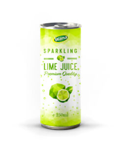 Premium Quality Sparkling Lime Juice Drink 250mL Canned