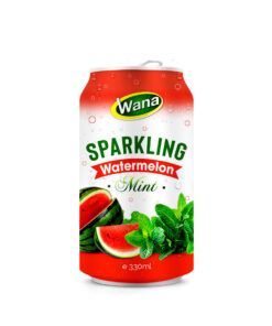 Mint Flavored Sparkling Watermelon Juice Drink 330ml
