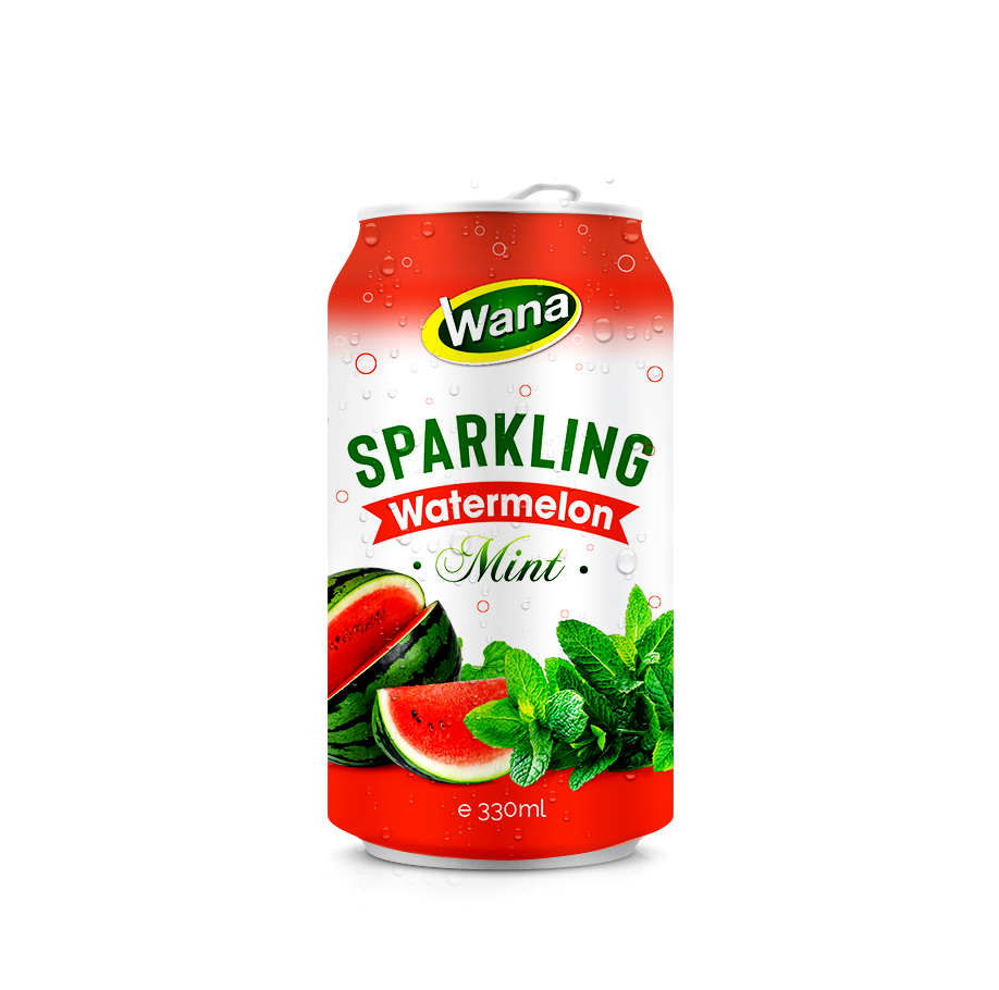 Mint Flavored Sparkling Watermelon Juice Drink 330ml