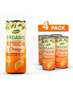 Private Label Kombucha Tea Drink in 320ml Canned