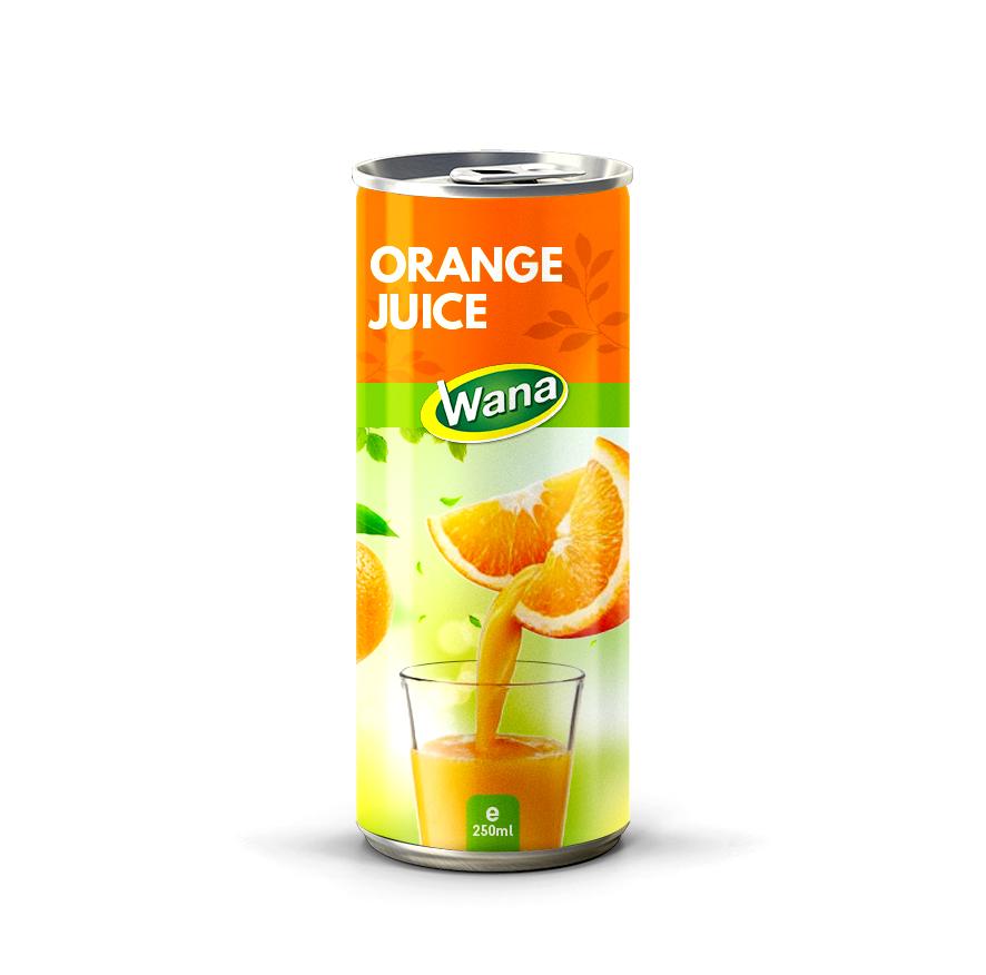 100% Watermelon Juice Drink 250ml Canned - Image 3
