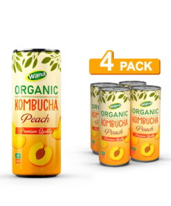 Top Trending Kombucha Tea Drink - Organic Product