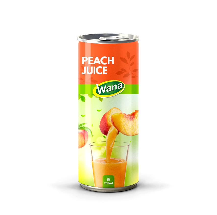 100% Watermelon Juice Drink 250ml Canned - Image 4