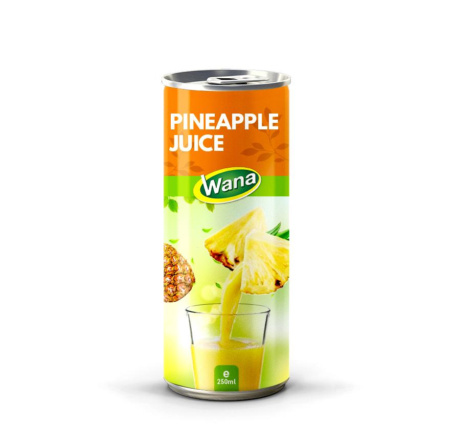 100% Watermelon Juice Drink 250ml Canned - Image 5