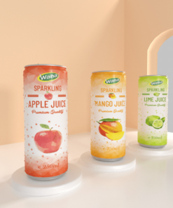 SPARKLING COCONUT WATER DRINKS