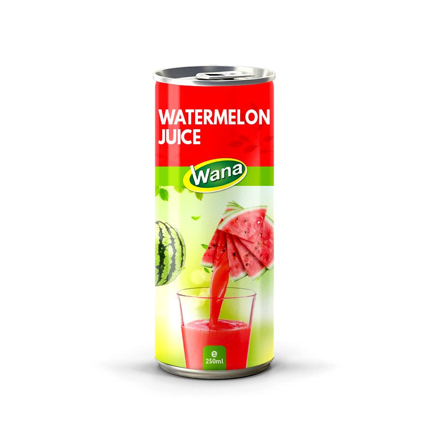 100% Watermelon Juice Drink 250ml Canned