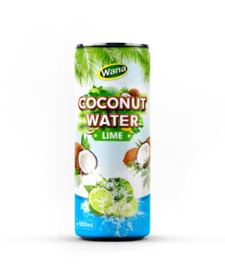 Premium Coconut Drinks with Lime Juice 500ml Canned