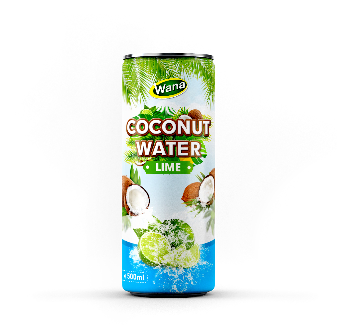 Best Wholesale Mango Flavored Coconut Drinks 500ml - Image 6