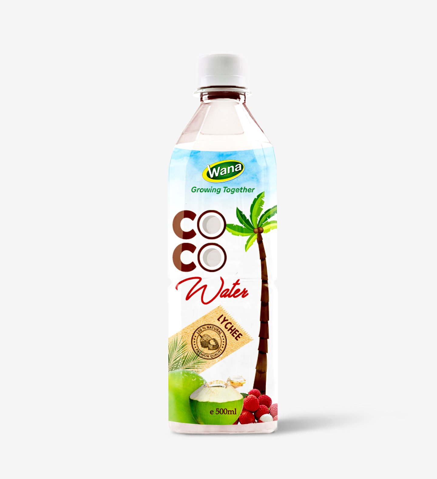 500ml PET Bottle Coconut Water For Daily Drink - Image 6