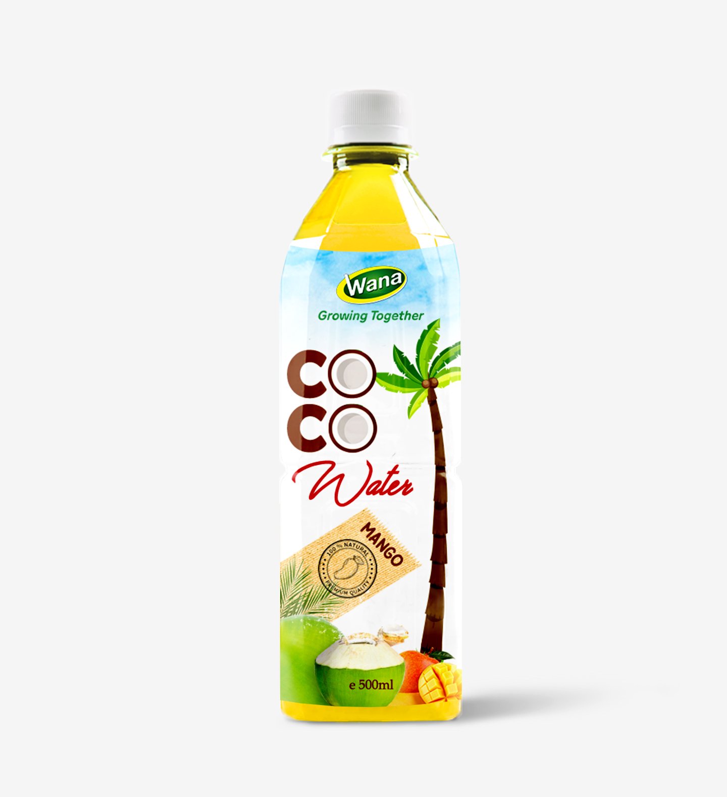 OEM Coconut Water Drink With Mango Flavor 500mL PET