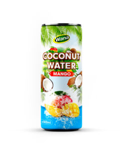 Best Wholesale Mango Flavored Coconut Drinks 500ml