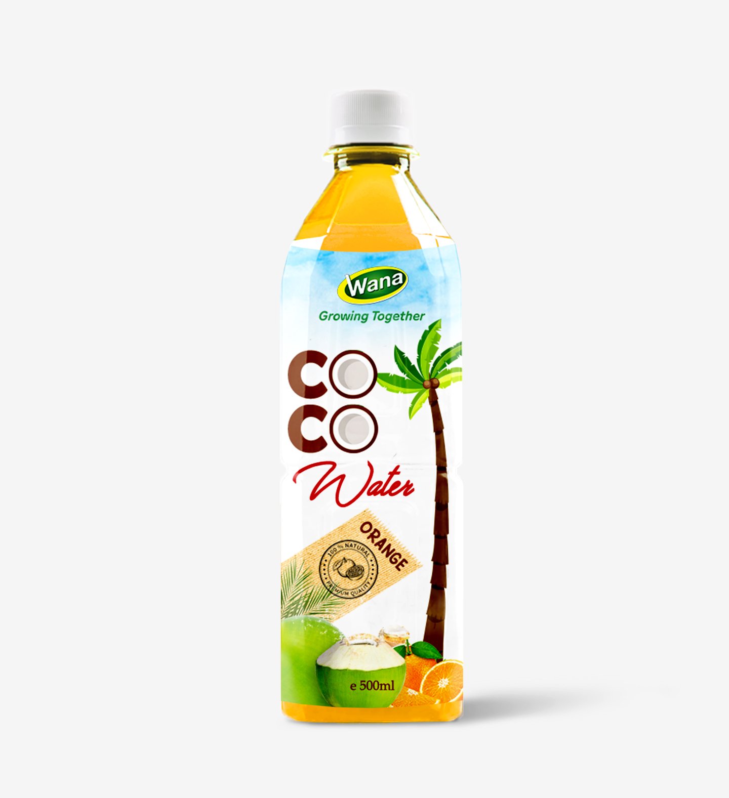 500ml PET Bottle Coconut Water For Daily Drink - Image 4