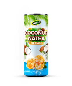 Wholesale 500ml Coco Drinks with Orange Juice