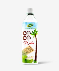 500ml PET Bottle Coconut Water For Daily Drink