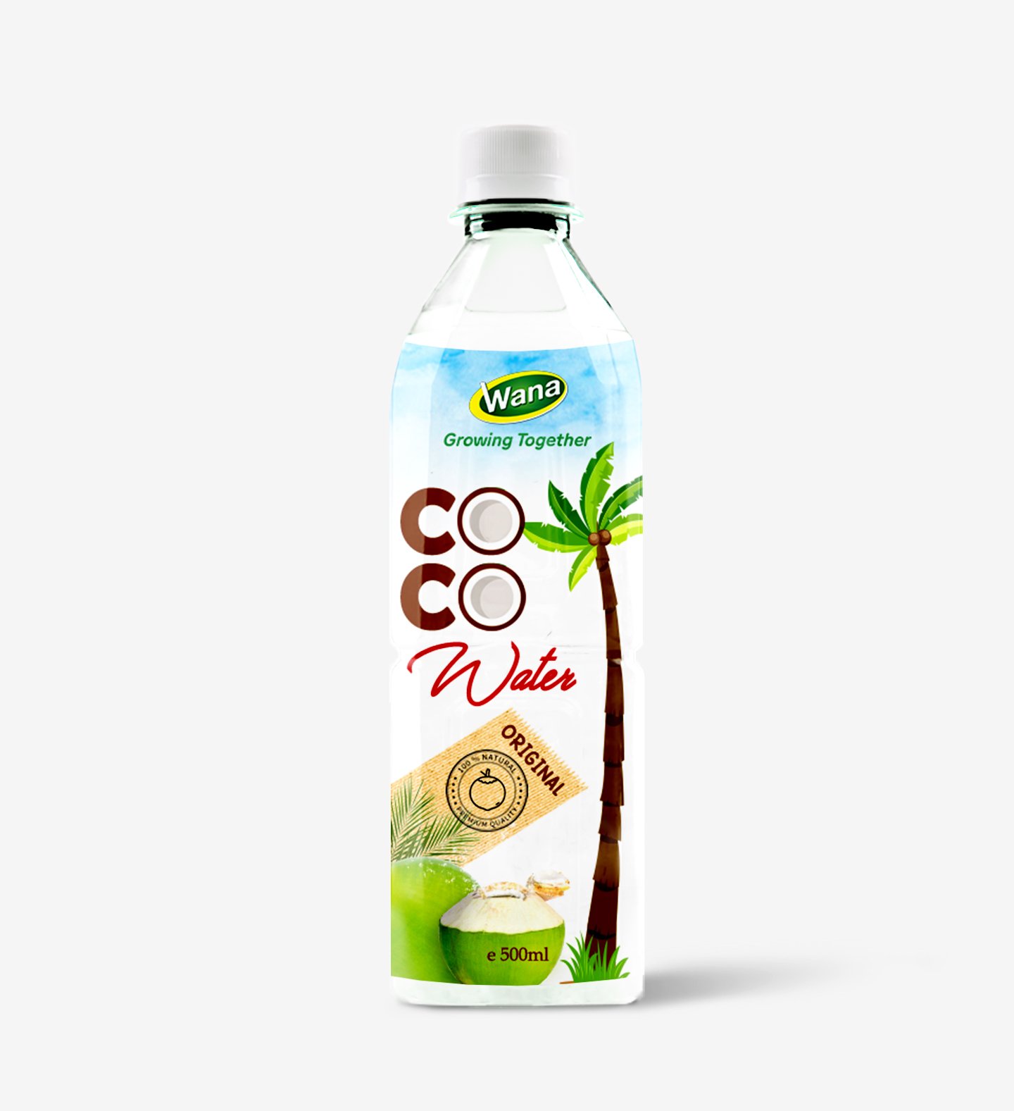 500ml PET Bottle Coconut Water For Daily Drink