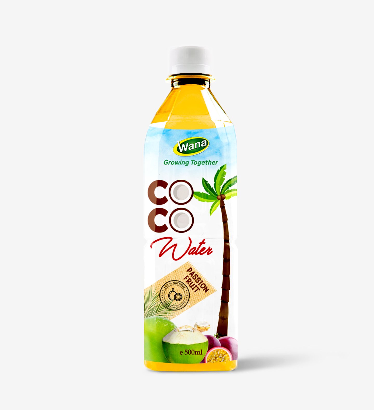 OEM Coconut Water Drink With Mango Flavor 500mL PET - Image 3
