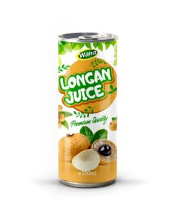 Premium Quality Logan Juice Drink 250mL