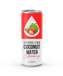 Alternative view of OEM Watermelon Carbonated Coconut Water in 250ml Canned