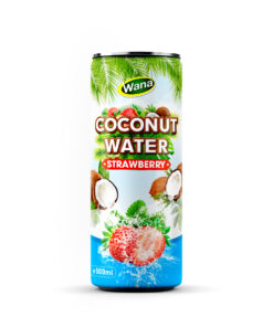 Alternative view of 500ml Canned Coco Drinks with Watermelon Juice 
