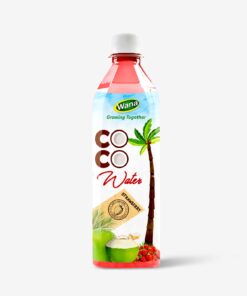 Alternative view of OEM Coconut Water Drink With Mango Flavor 500mL PET