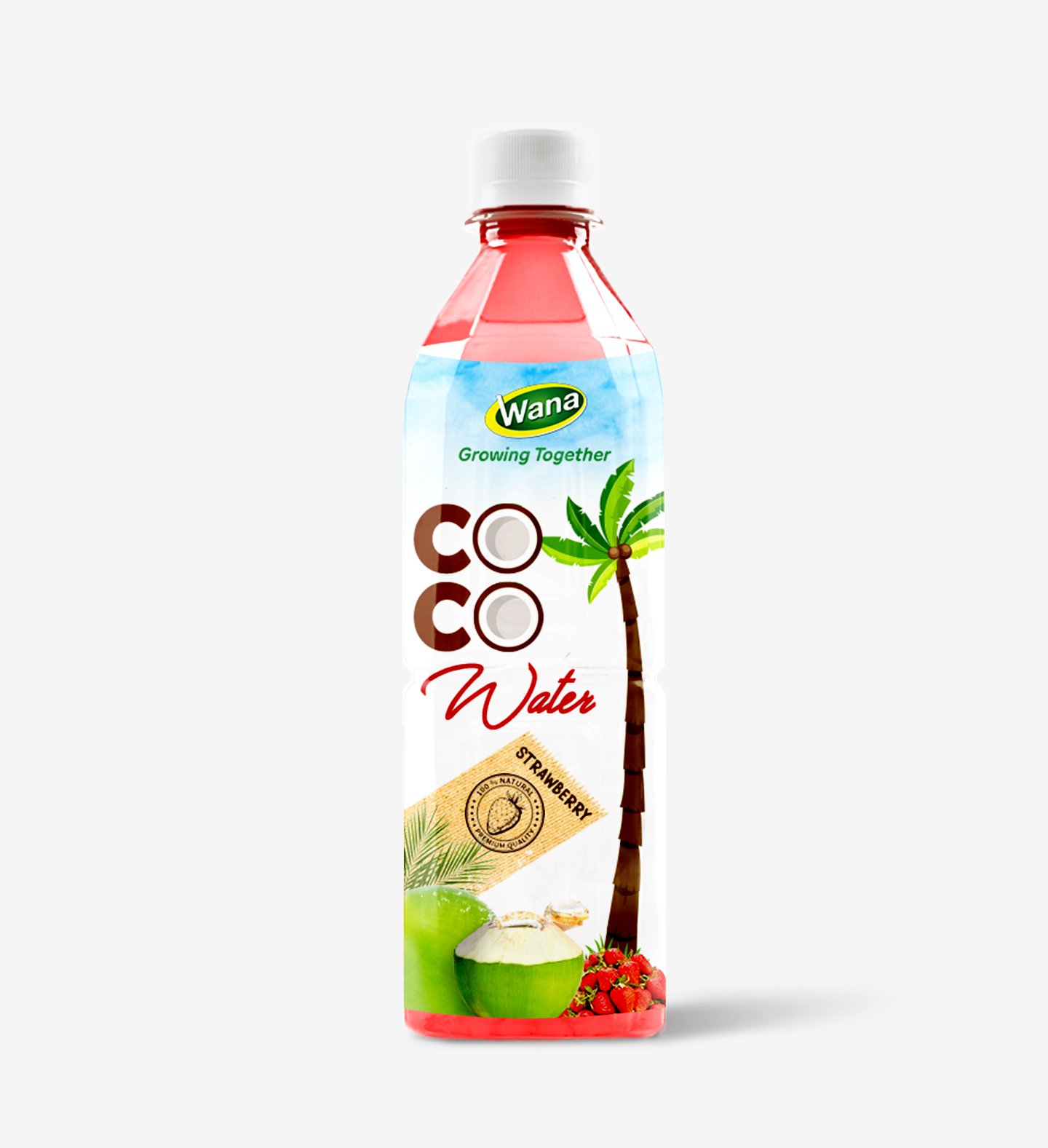 OEM Coconut Water Drink With Mango Flavor 500mL PET - Image 2