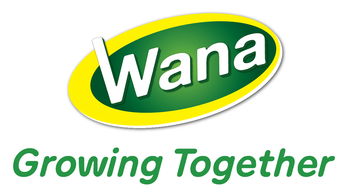 Wana Beverage JSC