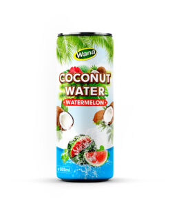500ml Canned Coco Drinks with Watermelon Juice