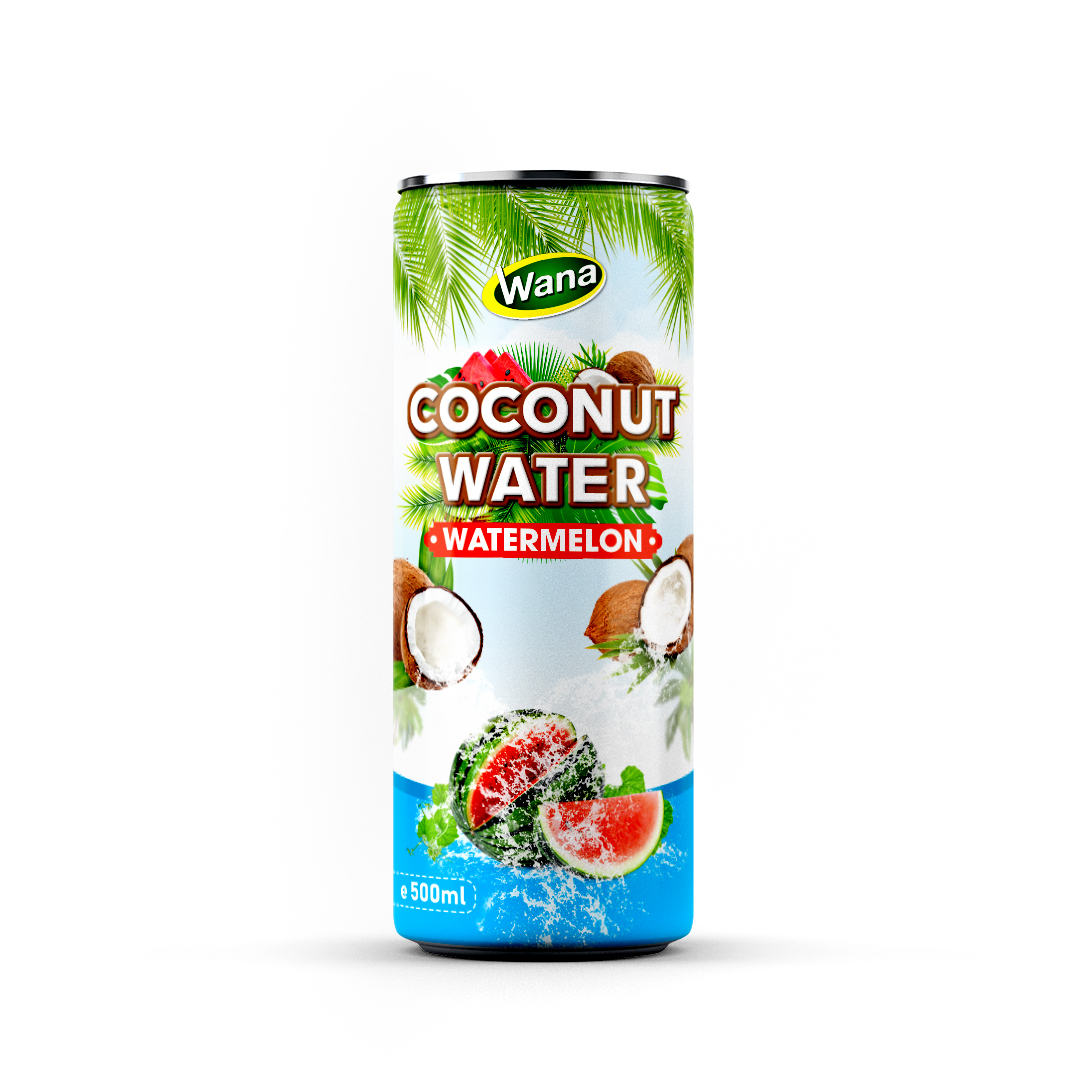 Best Wholesale Mango Flavored Coconut Drinks 500ml - Image 2