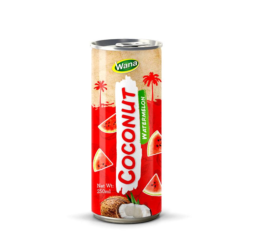 Pineapple Flavored Coco Drink in 250ml canned - Image 2