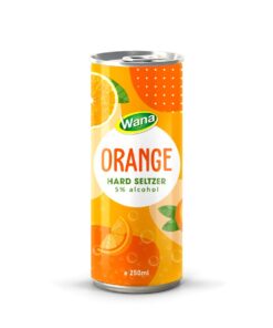 2021 New Edition Hard Seltzer Drink Mixed Orange Flavor 250mL Canned