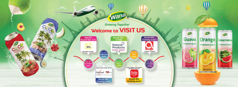 Wana Raspberry Tea Home - Wana Beverage JSC