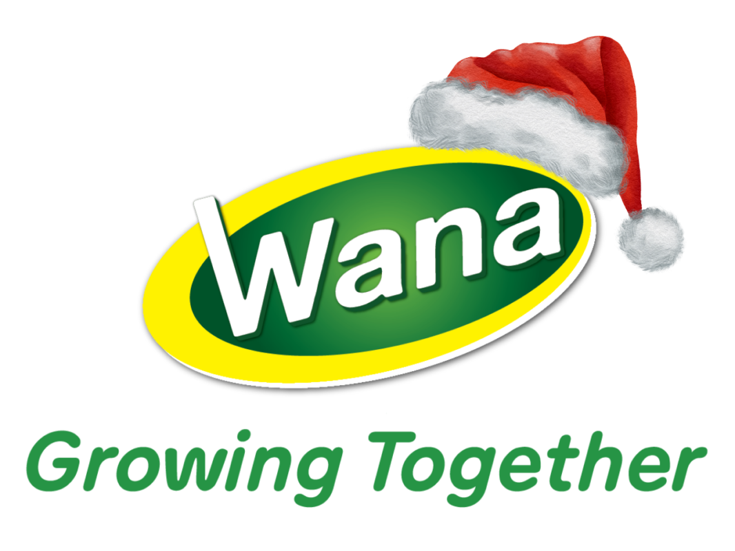 Wana Beverage JSC