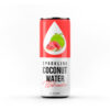 OEM Watermelon Carbonated Coconut Water in 250ml Canned